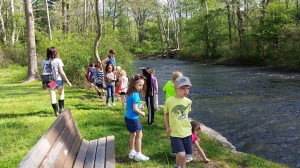 13248550_1037091003039212_5841376881003031155_o