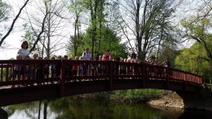 13301445_1037090906372555_4964459382844828339_o