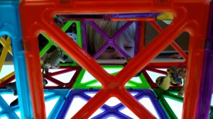 IMG_20160111_095238163    